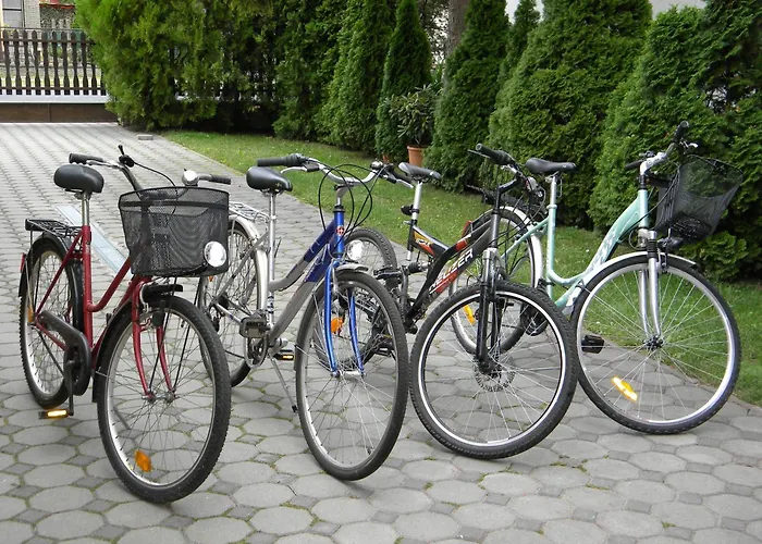 Apartament Istvan Haz *